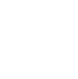 San Isidro College